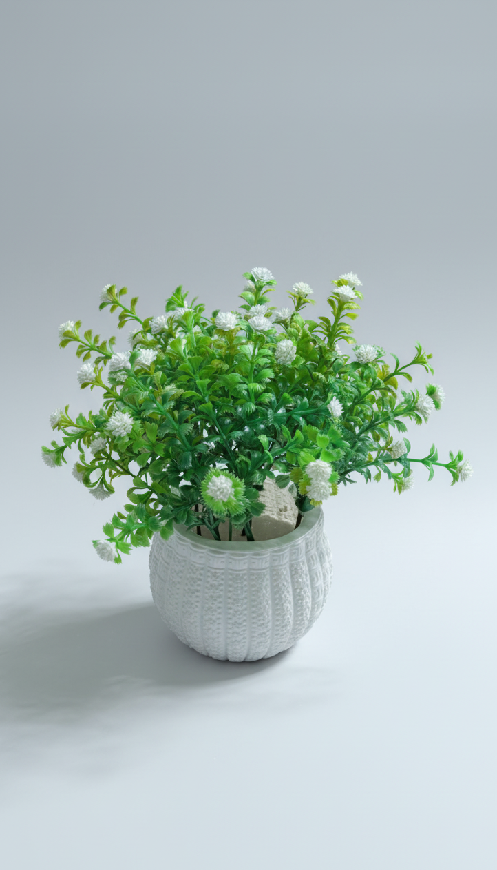 Potted plant with white flowers 